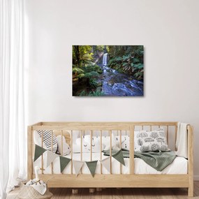 Tablou pe sticlă cu pădurea ploilor din Austalia (70x50 cm)