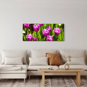 Tablou cu lale pe luncă (120x50 cm)
