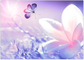 Tablou - Fluture lângă floare (70x50 cm)
