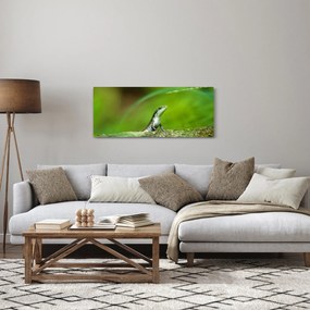 Tablou cu șopârlă (120x50 cm)