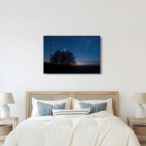 Tablou cu copaci noapte (90x60 cm)