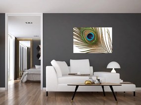 Tablou cu pene de păun (90x60 cm)