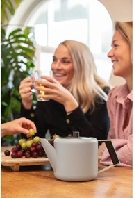 Ceainic bej din oțel inoxidabil 1,1 l Duet Boston – Bredemeijer