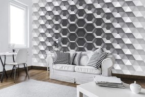 Fototapet - 3D hexagon (254x184 cm)