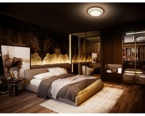 Plafonieră LED Ledvance ORBIS SPIRAL LED/38W/230V