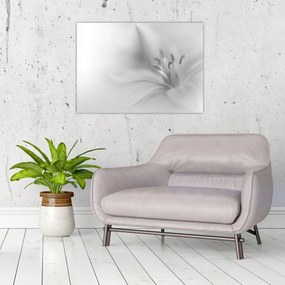 Tablou pe sticlă - Crin delicat (70x50 cm)