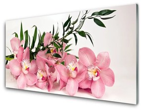 Tablouri acrilice Petale Floral Roz Verde