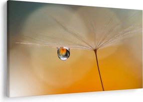 Tablou - Flori macro (90x60 cm)