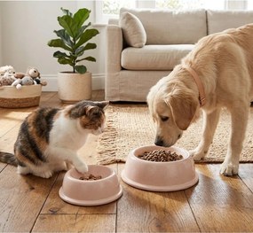 Bol pentru animale pentru animale de companie din gresie ceramică ø 21 cm – Casafina