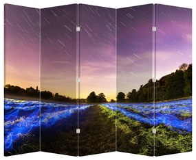 Paravan - Câmp colorat (210x170 cm)