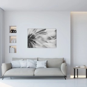 Tablou - Păpădie (90x60 cm)