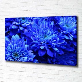 Tablou canvas Aster albastru