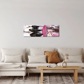 Tablou cupietre pentru masaj și orhidee (cu ceas) (90x30 cm)