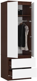 Dulap de haine Suman (wenge + Alb). 1069555