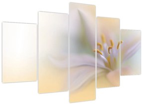 Tablou - Floare fragedă (150x105 cm)