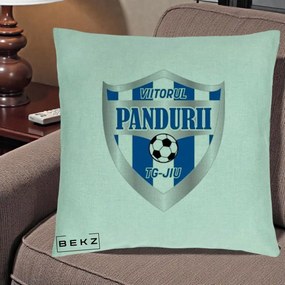 Perna Personalizata Pandurii Targu Jiu Fotbal, 40x40 cm, Verde Menta, Husa Detasabila, Perna Inclusa, BEKZ®