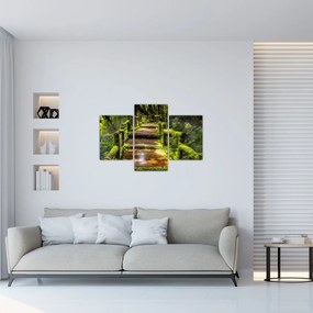 Tablou cu scări într-o pădure tropicală (90x60 cm)