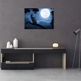 Tablou pe sticlă - Bufnița de noapte (70x50 cm)