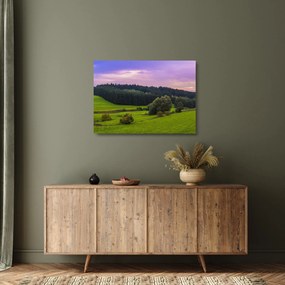 Tablou pe sticlă cu lunca (70x50 cm)