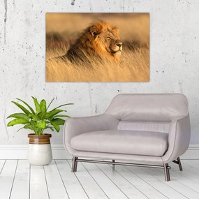Tablou - Parcul Național Etosha (90x60 cm)