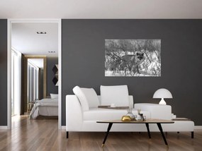 Tablou - Vulpe în timpul iernii (90x60 cm)
