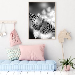 Poster - Fluture (A4)