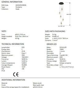 Lustra LED suspendata design elegant Iliada 5L