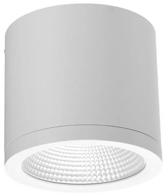 Spot LED aplicat de exterior IP54 CONYON 25W CCT SWITCH