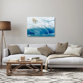 Tablou pe sticlă - Ursul polar (70x50 cm)