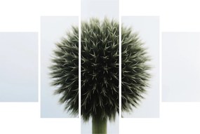 Tablou - Sfere de flori (150x105 cm)