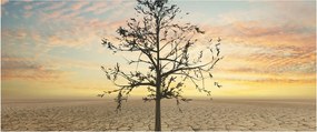 Tablou - Copac în deșert (120x50 cm)