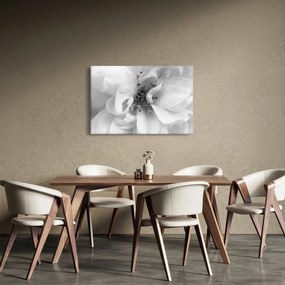 Tablou - Floare,alb-negru (90x60 cm)