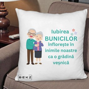 Cadou pentru Bunici - Perna Personalizata Bunicii Iubirea Infloreste Cuplu Senior Teal, 40x40 cm, Alb Pufos, Husa Detasabila, Perna Inclusa, BEKZ®