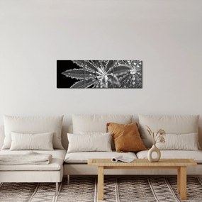 Tablou - Frunze cu picături (cu ceas) (90x30 cm)