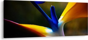 Tablou - Floare exotică (120x50 cm)