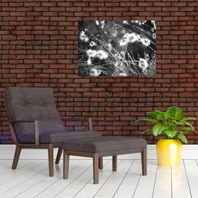 Tablou pe sticlă - Pânza de păianjen în pajiște (70x50 cm)