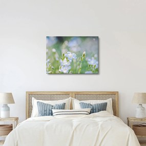 Tablou - Flori delicate (70x50 cm)