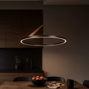 Lustra LED suspendata minimalista Renara negru auriu