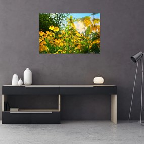 Tablou - Flori galbene (90x60 cm)