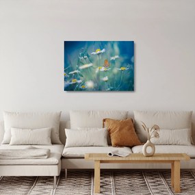 Tablou pe sticlă - Fluture pe margaretă (70x50 cm)