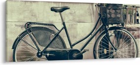 Tablou - Bicicleta de epocă cu flori (120x50 cm)
