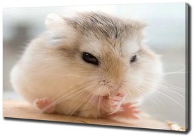 Pictură pe pânză Hamster