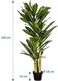 PLANTASIA - Copac artificial Dracaena 120 cm, 81 frunze