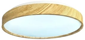 Plafonieră LED dimabilă OPAL LED/36W/230V 3000-6500K + telecomandă