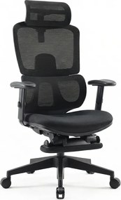 Scaun ergonomic SIHOO, spătar reglabil înălțime, suport lombar, tetieră reglabilă, mecanism înclinare/blocare în 3 poziții, suport picioare, pivotant, Mesh, Negru