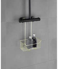 WENKO 25937100 - Coș de duș MILO 25x36 cm, inox/auriu/transparent