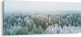 Tablou - Crestele munțillor înzăpezite (120x50 cm)