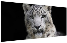 Tablou - Snow Leopard (120x50 cm)
