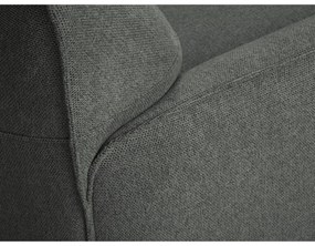 Fotoliu Windsor &amp; Co Sofas Neso, gri