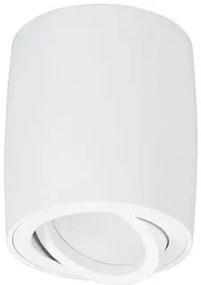 Spot aplicat tavan directionabil GOZZANO alb